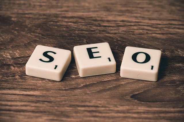 www internet seo