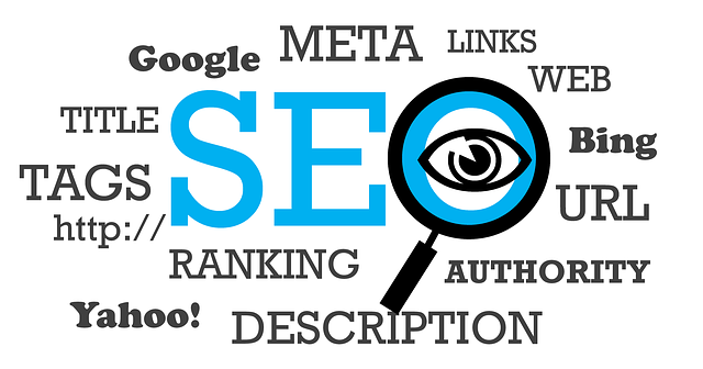 google hledat seo